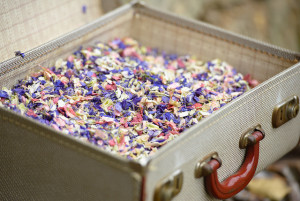 ShropshirePetals.com Pick and Mix of Midnight Blue, Raspberry Fool and Icing Sugar in vintage suitcase £11.95 per litre (7)