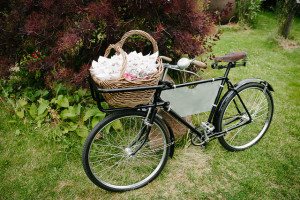 ShropshirePetals.com Vintage Bike with Winters Morn Confetti in Cones £11.95 per litre