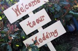 Wedding decoration ideas